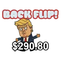 Back flip